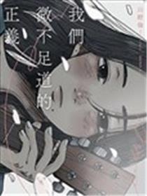 我们微不足道的正义