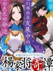 杨家将奇谭