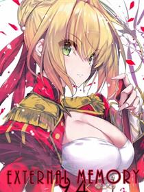 (C94)EXTERNAL MEMORY 94