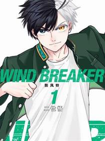 WIND BREAKER 防风铃