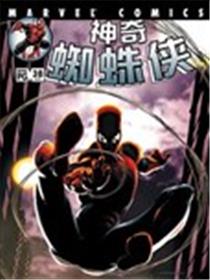 神奇蜘蛛侠V2