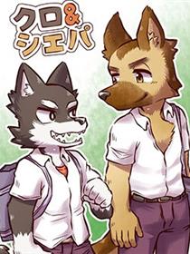 小黑与阿牧