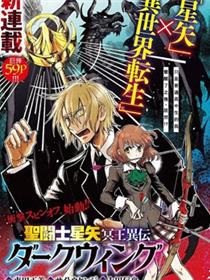 圣斗士星矢冥王异传漆黑之翼