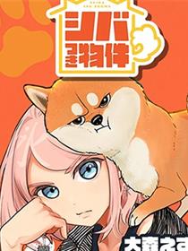 家里毛茸茸的柴犬灵