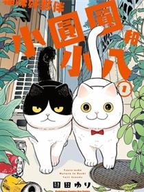 猫咪好夥伴小圆圆和小八