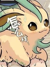 伊布满满